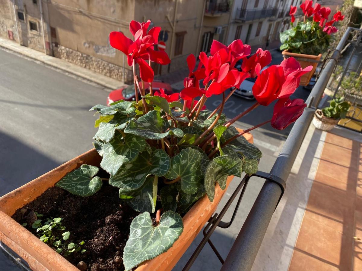 Apartment In The Center Terrasini Luaran gambar